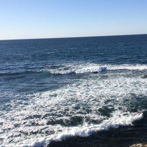 Meet your Posher, Lily